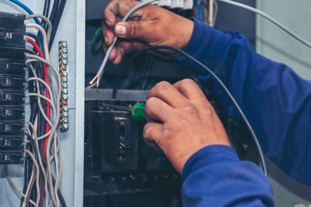Best Ceiling Fan Installation Electrician  in Eunice, LA